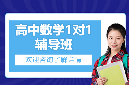 深圳高中数学1对1辅导班