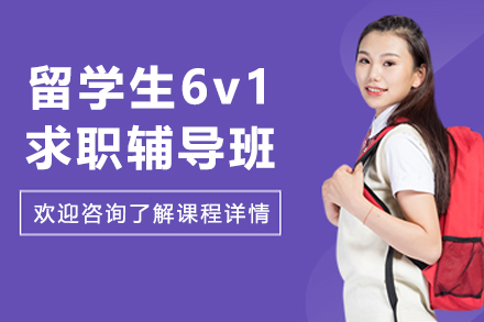大连留学生6v1求职辅导班
