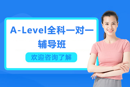 深圳A-Level全科一对一辅导班