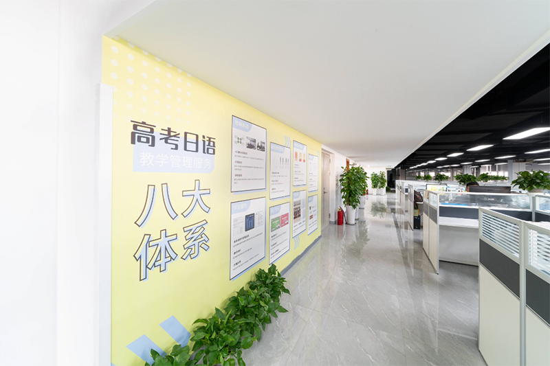 早道网校机构