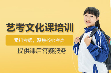北京艺考文化课培训班