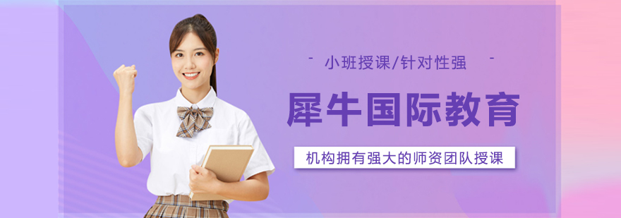 沈阳犀牛国际教育