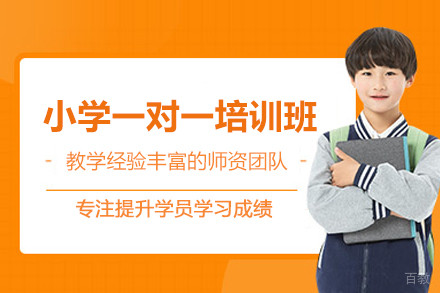 北京小学一对一培训班