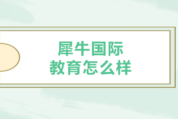 沈阳犀牛国际教育怎么样