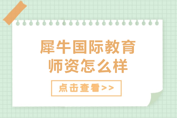 沈阳犀牛国际教育师资怎么样