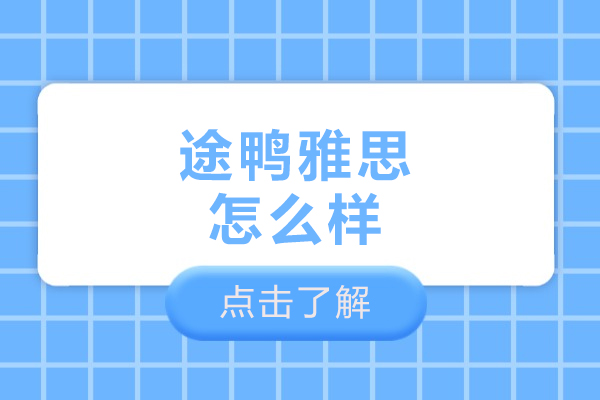 沈阳途鸭雅思怎么样