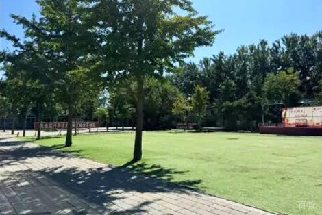 学校环境图片