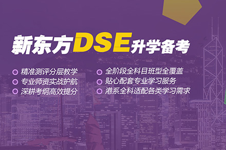 东莞DSE一对一辅导班