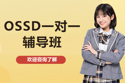 广州OSSD一对一辅导班