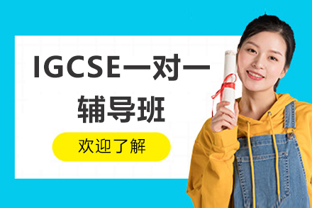 广州IGCSE一对一辅导班