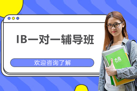 广州IB一对一辅导班