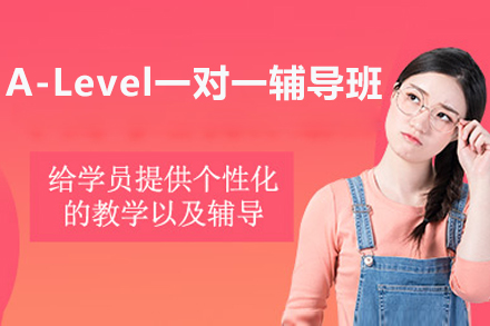 广州A-Level一对一辅导班