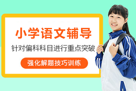 昆明小学语文1对1在线辅导班