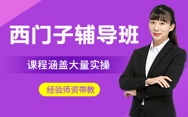 北京西门子辅导班