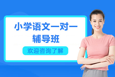 东莞小学语文一对一辅导班
