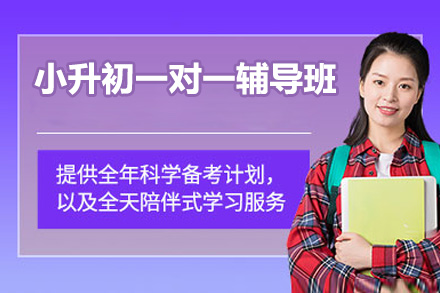 东莞小升初一对一辅导班