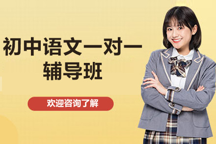 东莞初中语文一对一辅导班