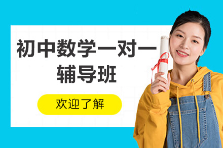 东莞初中数学一对一辅导班