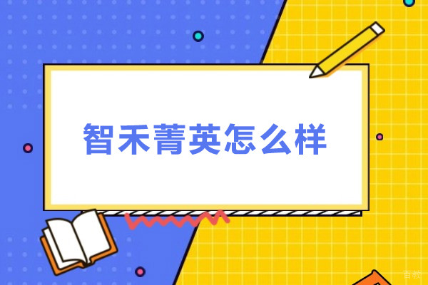上海智禾菁英怎么样