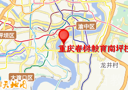 重庆春树教育南坪校区