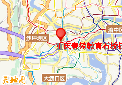重庆春树教育石桥铺校区