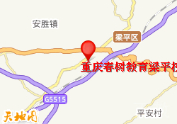重庆春树教育梁平校区