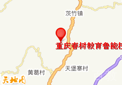 重庆春树教育鲁能校区