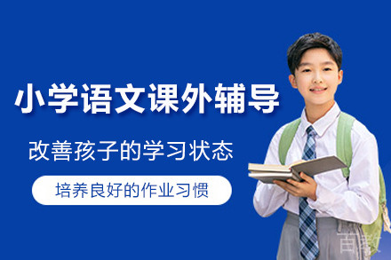 南京小学语文课外辅导训练班