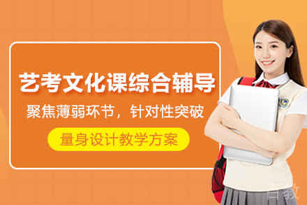 南京艺考文化课综合辅导班