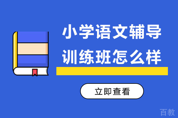 邦你学教育小学语文辅导训练班怎么样-好不好