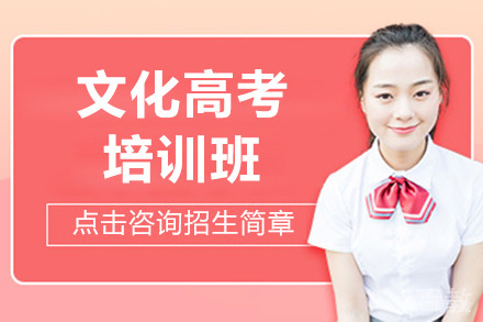 上海工程大融高文化高考班全解析：小班教学与升学优势揭秘