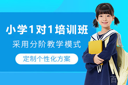 石家庄小学全科1对1培训班