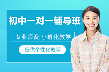 北京初中一对一辅导班