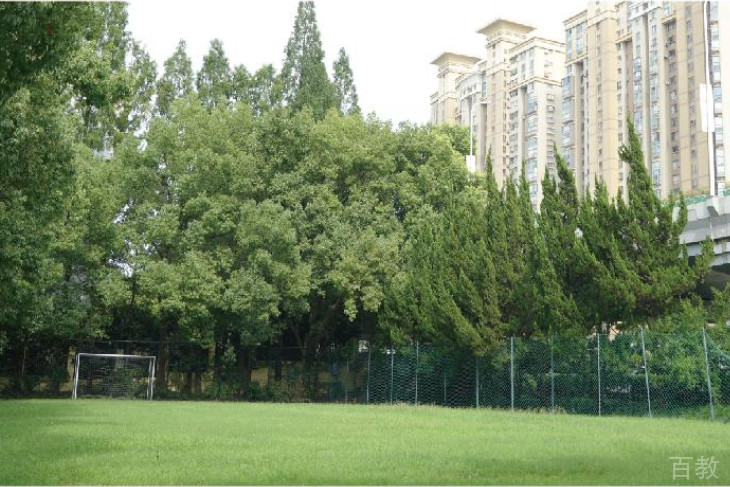 上海上城融合高中学校