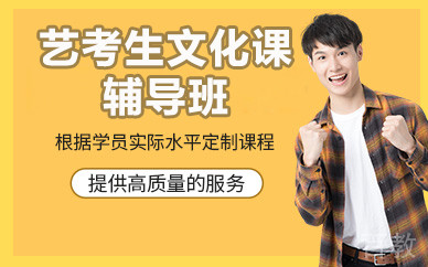 北京艺考生文化课辅导班