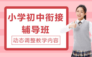 北京小学初中衔接辅导班