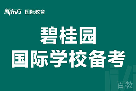 东莞碧桂园国际学校备考1对1培训班