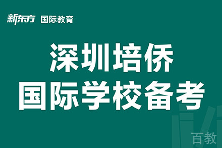 东莞深圳培侨国际学校备考1对1辅导班