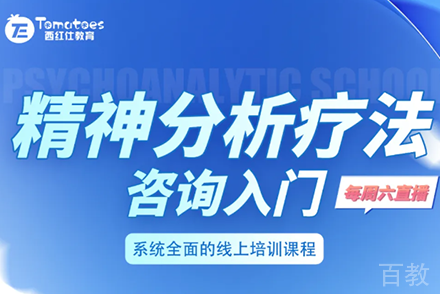 精神分析疗法入门培训班