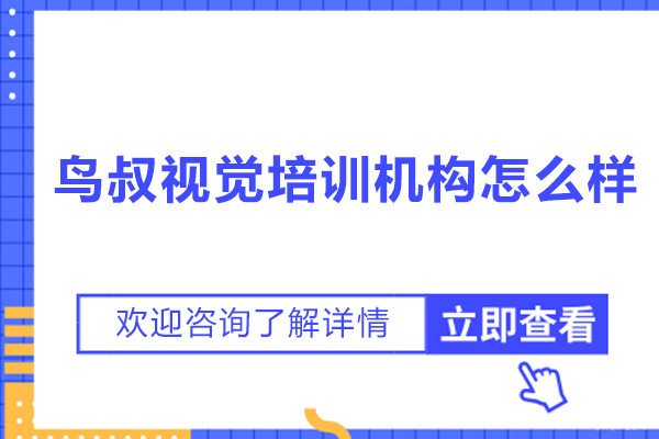 鸟叔视觉培训机构怎么样-好不好