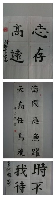 教学材料展示