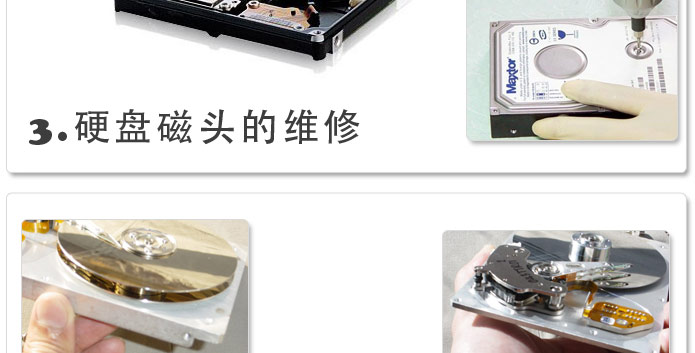 职业资格证书样本