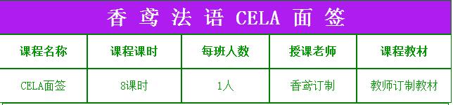 CELA面签场景示意图