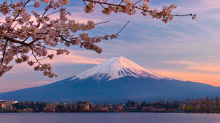 外教授课实景