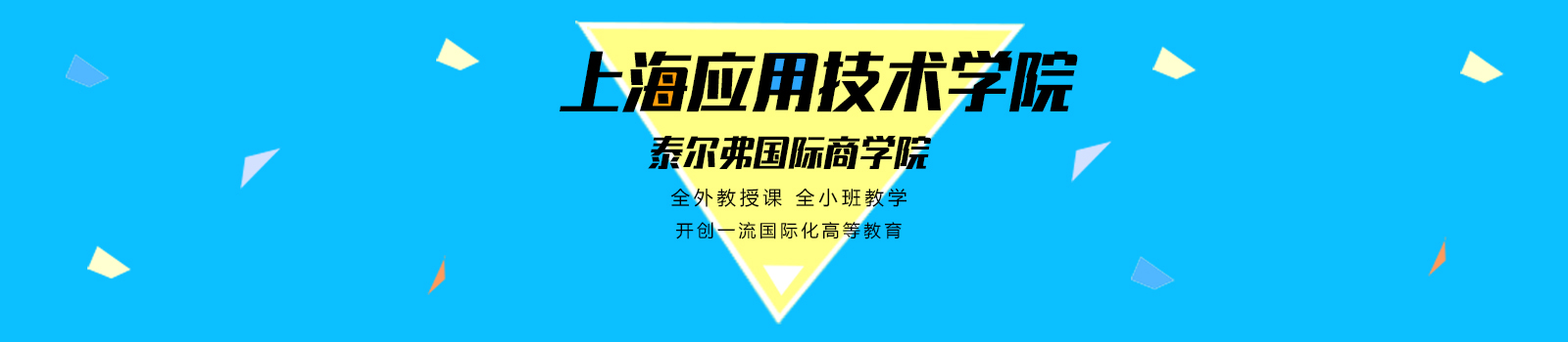 上海应用技术学院