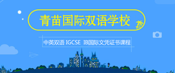 北京青苗国际双语学校