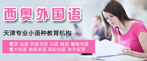 天津西奥外国语
