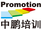 深圳中鹏教育