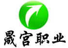 北京晟宫技术培训学校